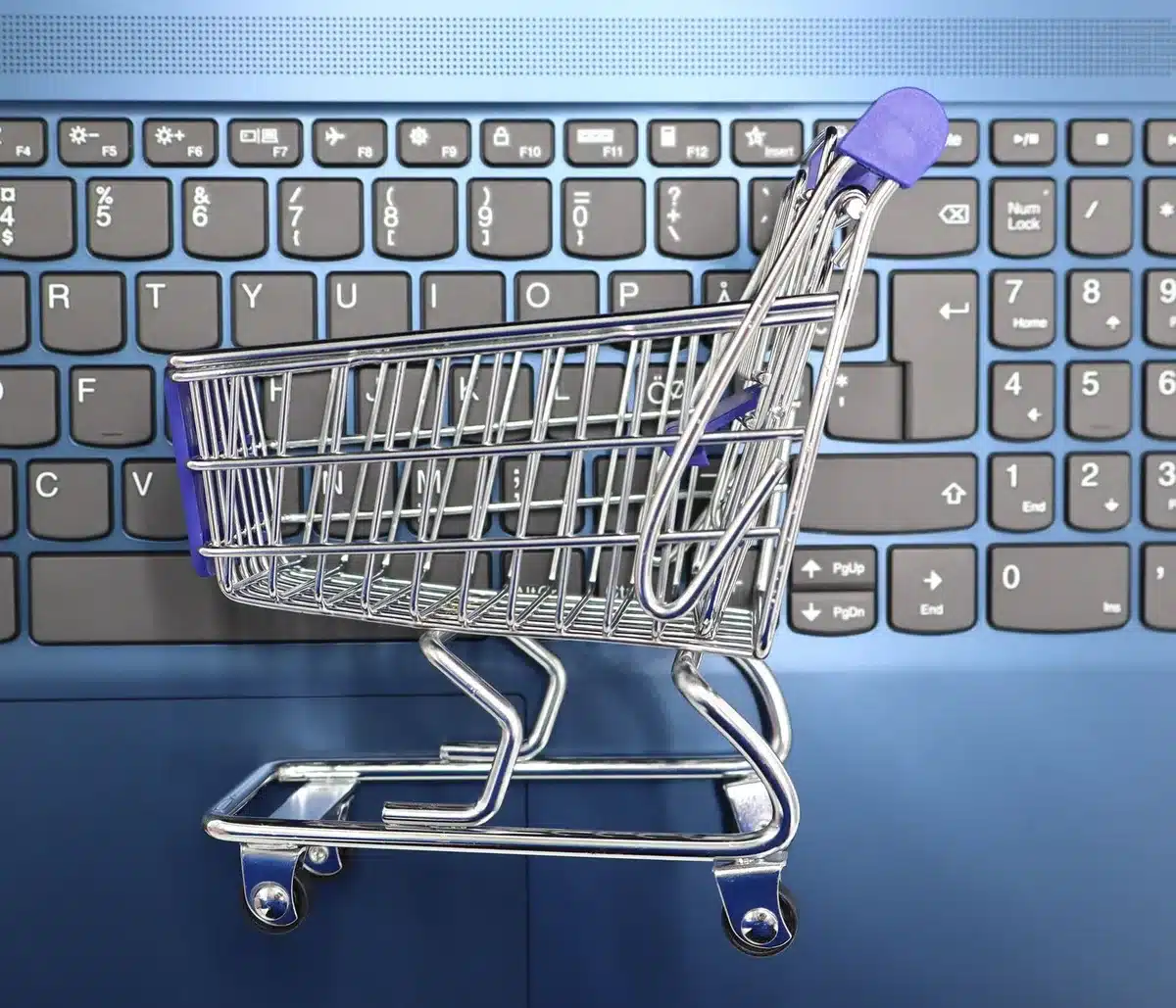 Boutique en ligne et vente à distance : secteurs en forte croissance pour les créateurs