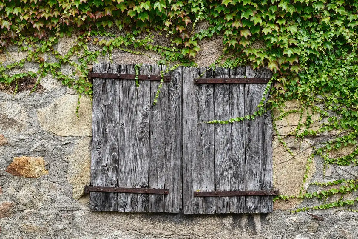 Façade d'immeuble avec grandes fenêtres et absence d'ombrage