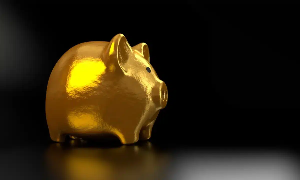 Relevé de compte bancaire montrant les versements réguliers d'épargne