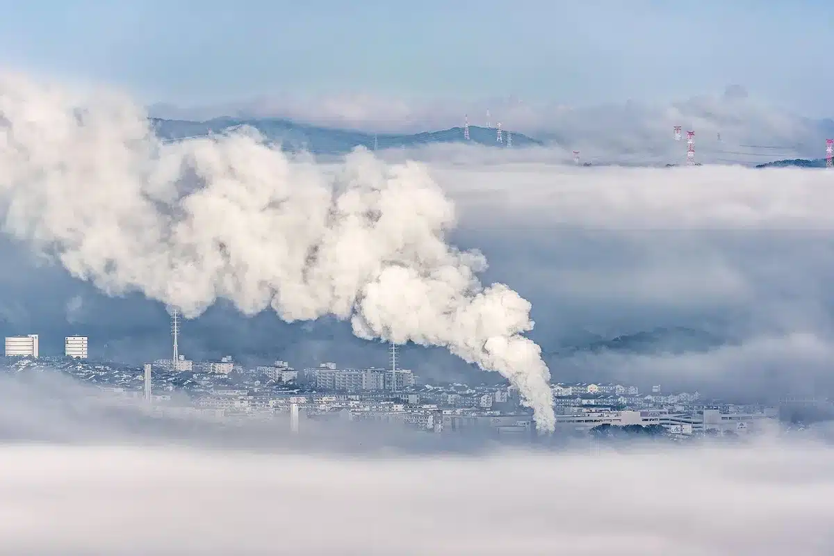 Vue aérienne d'une forêt dense illustrant les bénéfices environnementaux et la capture de CO2